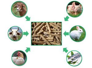 牛、羊、豬、兔等均可食用顆粒飼料