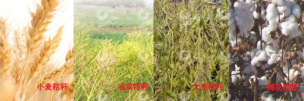 小麥秸稈、油菜秸稈、大豆秸稈、棉花秸稈